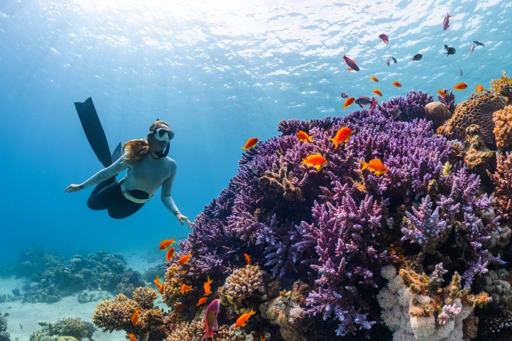 great barrier reef